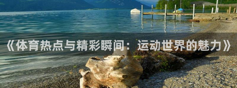 体育直播看球吧
