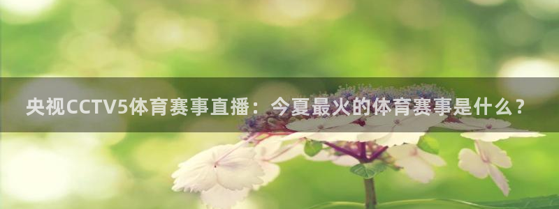 886直播看球吧