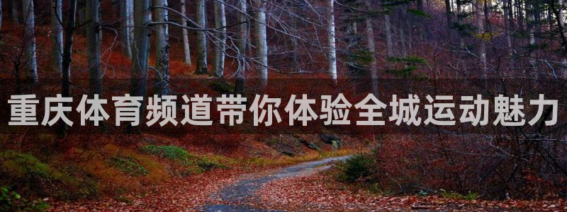 篮球比赛直播在线观看球吧网