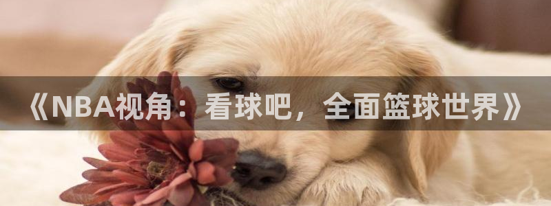鲨鱼直播nba在线看球吧