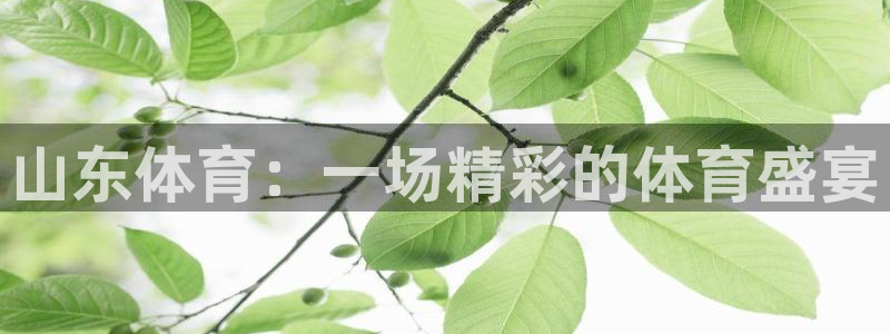 看球吧nba直播球直播jrs