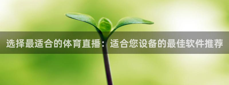 nba直播 看球吧：选择最适合的体育直播：适合您设备的最佳软件推荐