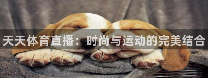 看球吧下载：天天体育直播：时尚与运动的完美结合