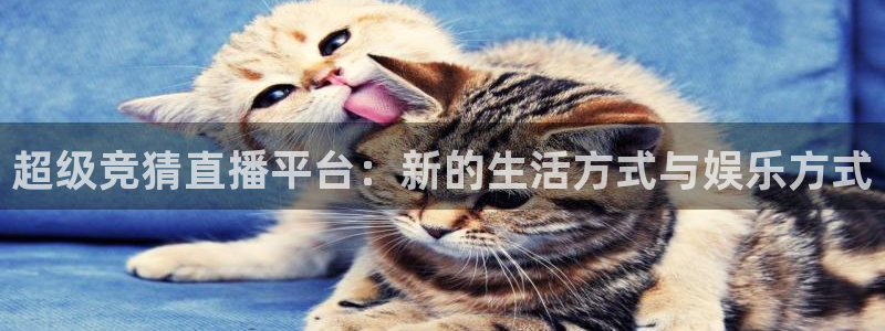 看球吧nba直播吧在线直播：超级竞猜直播平台：新的生活方式与娱乐方式