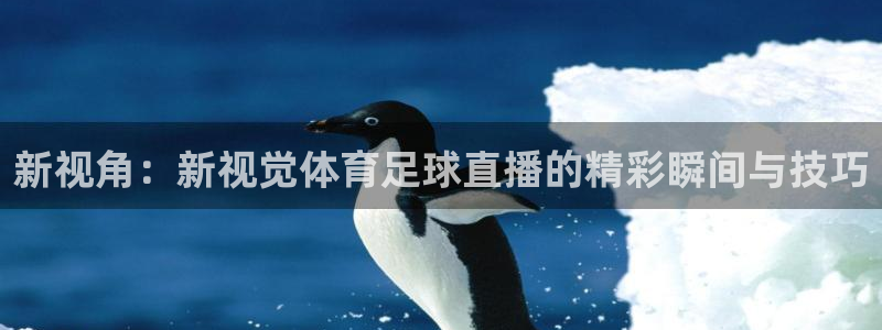 看球吧直播视频在线直播：新视角：新视觉体育足球直播的精彩瞬间与技巧