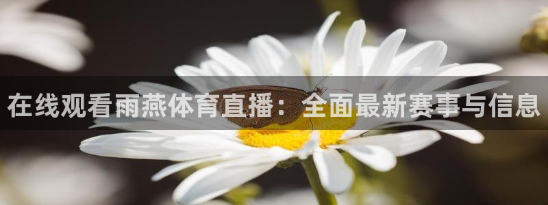 看球吧jrs直播nba：在线观看雨燕体育直播：全面最新赛事与信息
