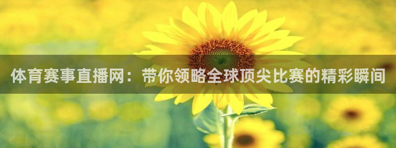 看球吧直播官网：体育赛事直播网：带你领略全球顶尖比赛的精彩瞬间