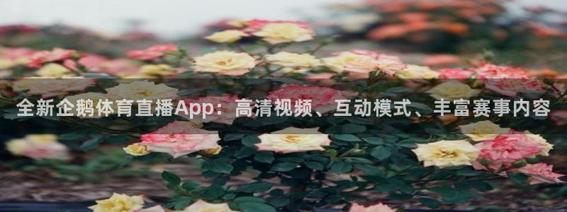365看球吧直播：全新企鹅体育直播App：高清视频、互动模式、丰富赛事内容