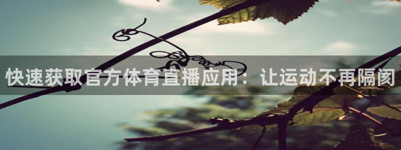 看球吧在线直播：快速获取官方体育直播应用：让运动不再隔阂
