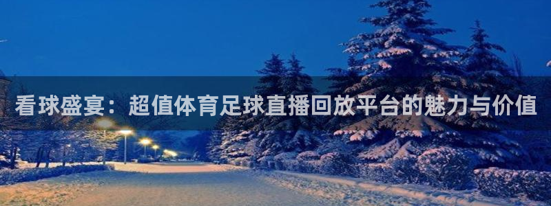 看球吧体育直播：看球盛宴：超值体育足球直播回放平台的魅力与价值